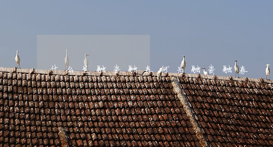 什么是融资融券(何为融资融券)