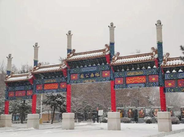 睿芽网阅网址是什么_睿迎网_睿迎网官方网站