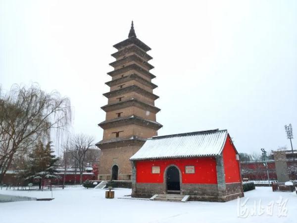 睿芽网阅网址是什么_睿迎网官方网站_睿迎网