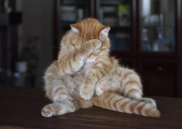 场外配资风险_股指期货配资网_高杠杆炒股危害