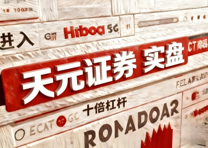 2026十大炒股杠杆平台：合规渠道与风险解析