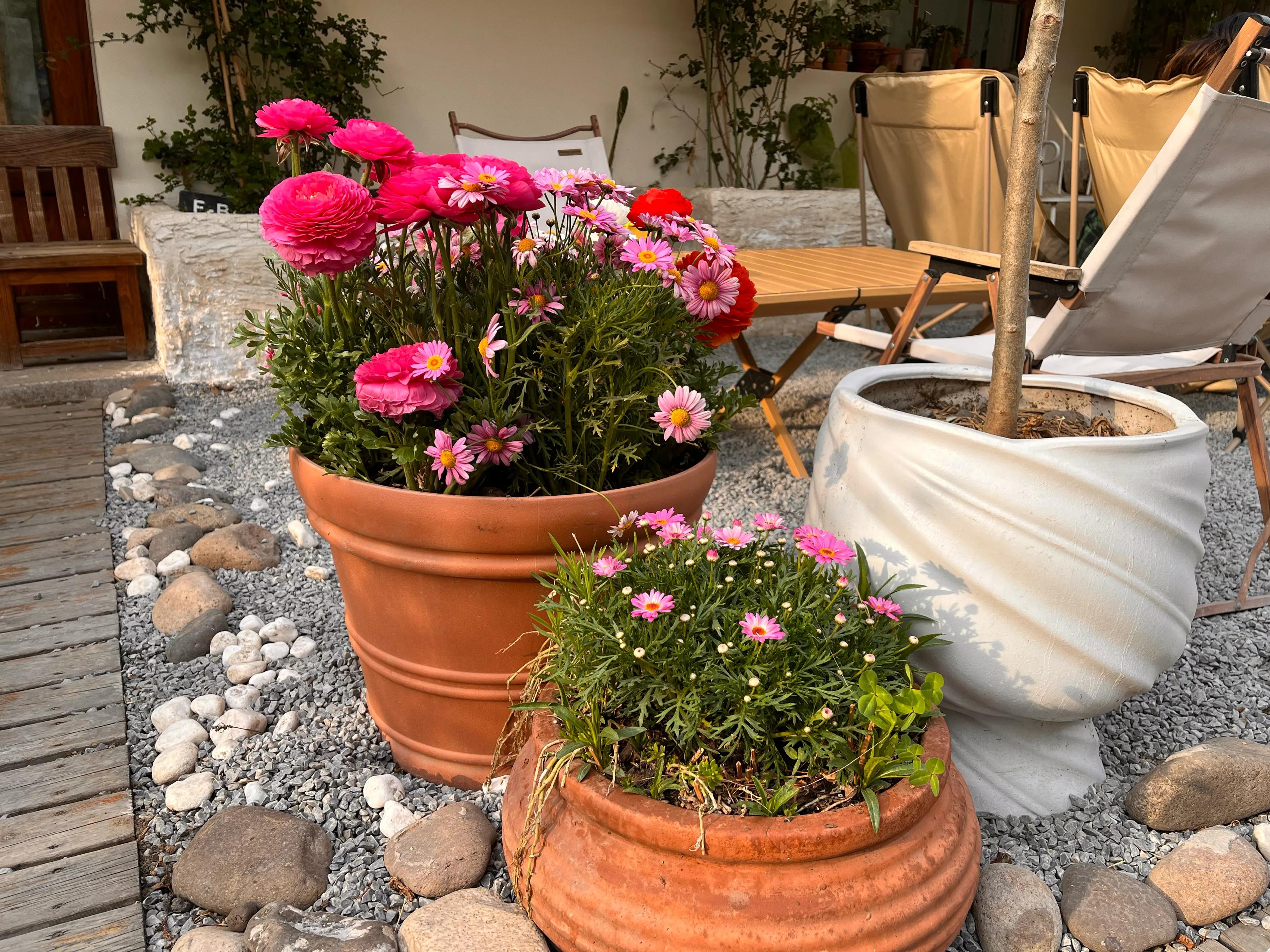 股票交易独立思考_避免扎堆交流风险_股票投资