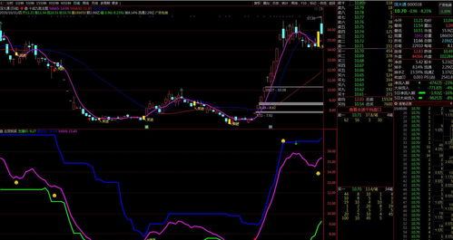 股票杠杆是什么_股票杠杆交易平台 股票配资平台 股票期权交易平台