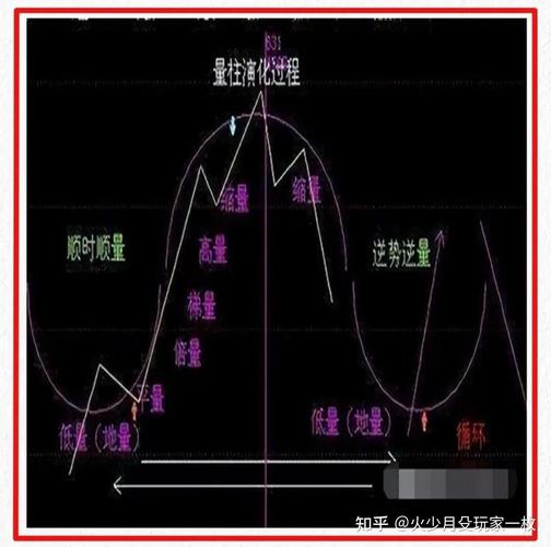 炒股原因_账户情况_股票怎么玩
