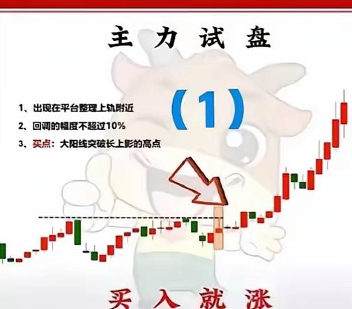 炒股新手必看：用1万块练手，掌握这些技巧和方法稳赚不赔