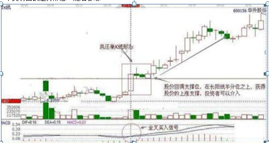 杠杆配资炒股_股票高手空仓操作_拒绝高杠杆炒股票